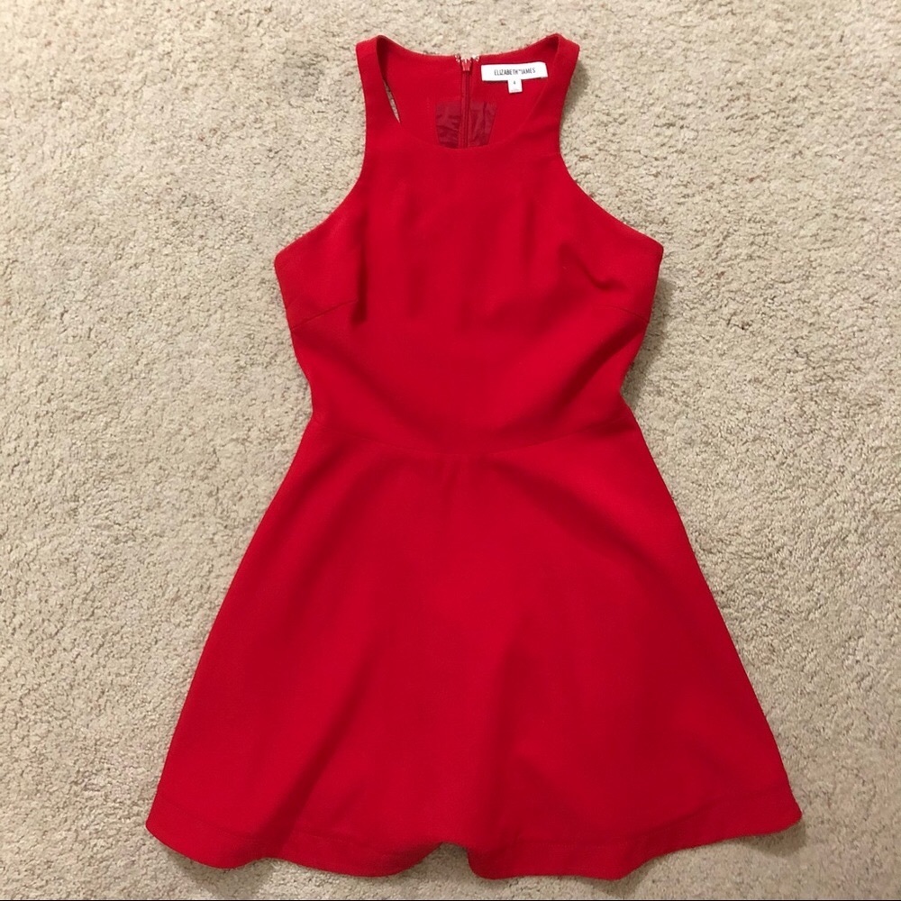 Elizabeth and James Red Flare Mini Dress